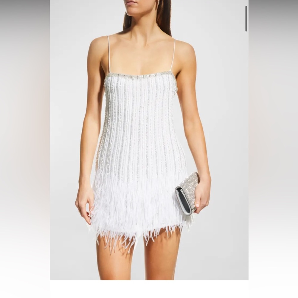 Retrofete
Rubina Beaded Feather-Hem Mini Dress